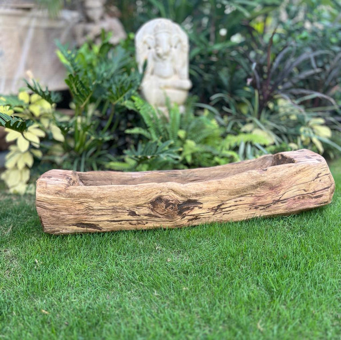 Burhan - 17 ; Raw wood planter