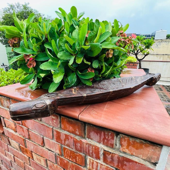 Kashish 1 : Boat shaped planter