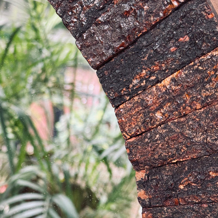 Raw Wood Circular Mirror : Aaina 34