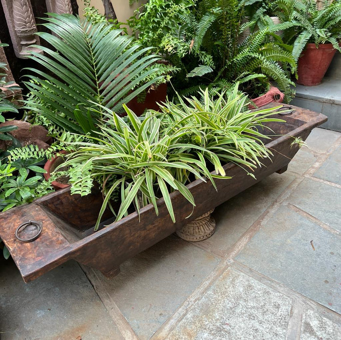 Kashish 13 : Long Wooden Planter ( 4 feet +, without stand )