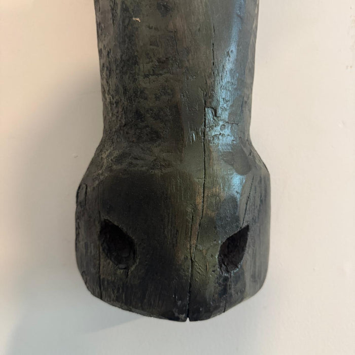 Cow head : Gauri 5