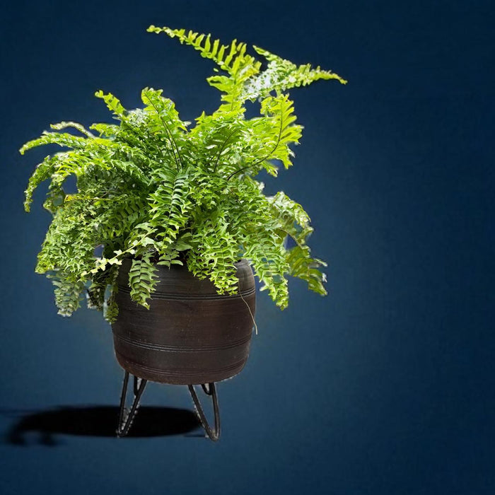 Circular Wooden Planter – Handcrafted Elegance; Aarav 3