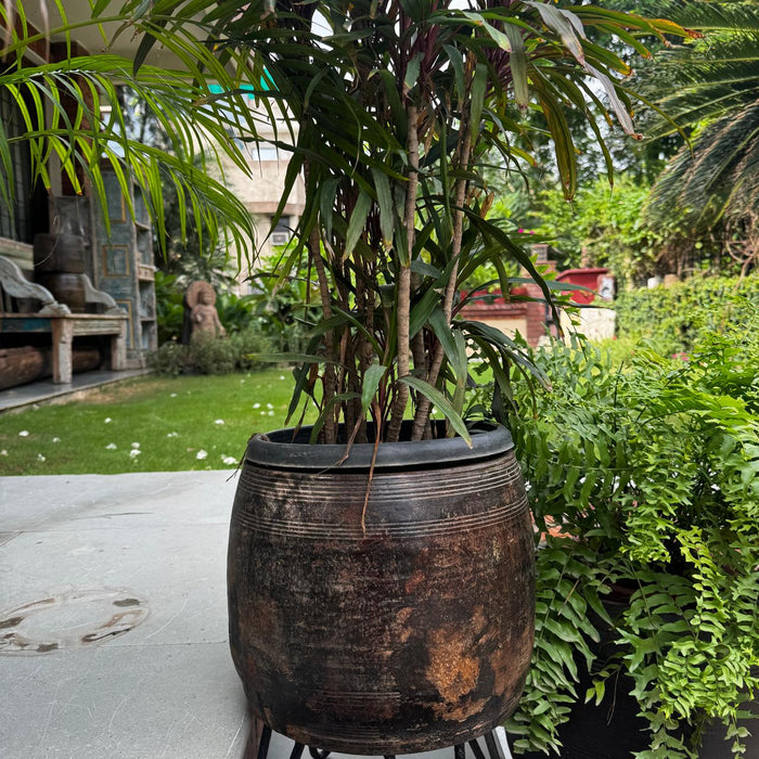 Circular Wooden Planter – Handcrafted Elegance; Aarav 5