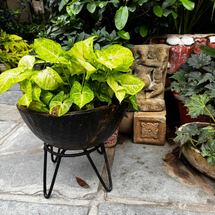 Circular Wooden Planter – Handcrafted Elegance; Aarav 7
