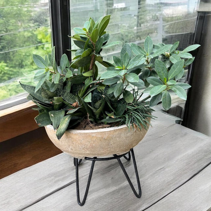Metal Plant base