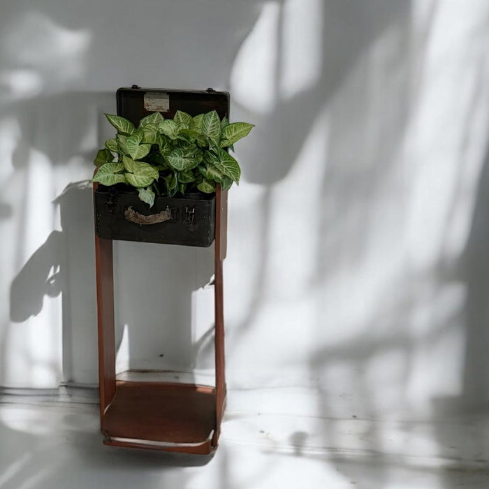 Metal Box planter on a Stand : Baxa 2