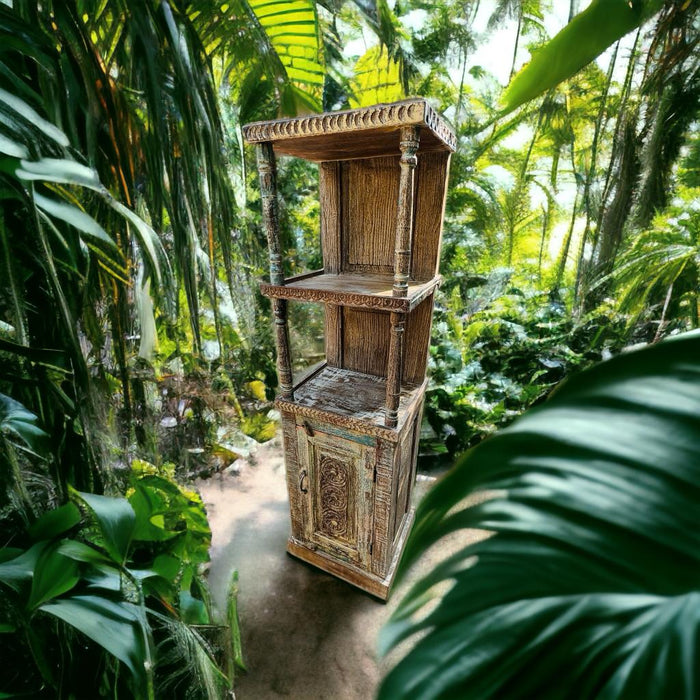 Tall, Slender  Wooden Cabinet : Sajeela