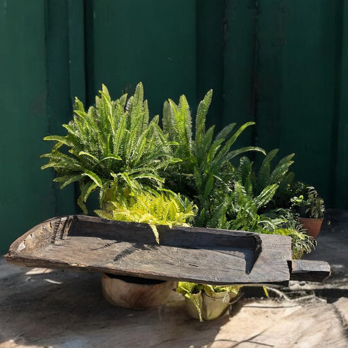 Long wooden Naga planter Burhan - 1