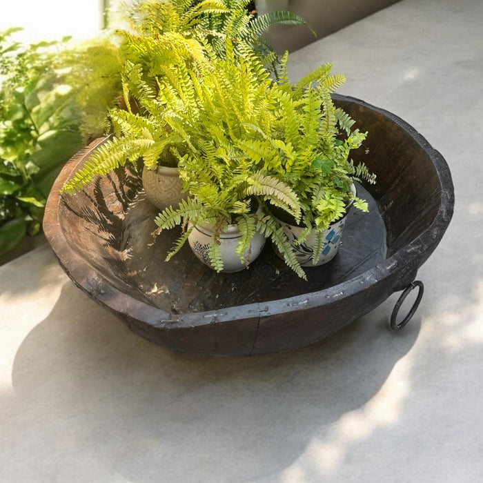 Circular Planter : Burhan - 8