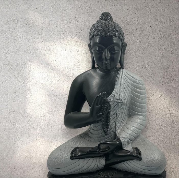 Gautam Buddha ; Tathagata 2