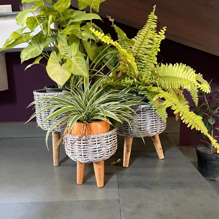 Afsar: Silver finish Sea Grass planters ( Set of 3 Planters)