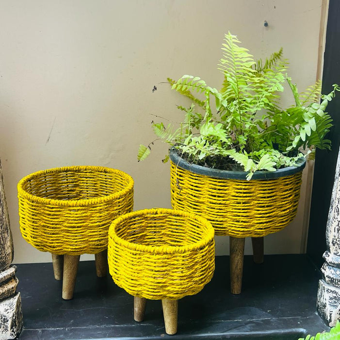 Afsar: Yellow finish Sea Grass planters  ( Set of 3 Planters)