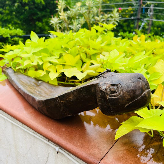 Kashish 3 : Boat shaped planter