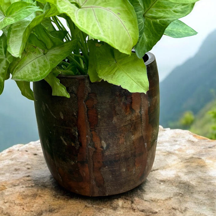 Wooden planter : Aarna 3