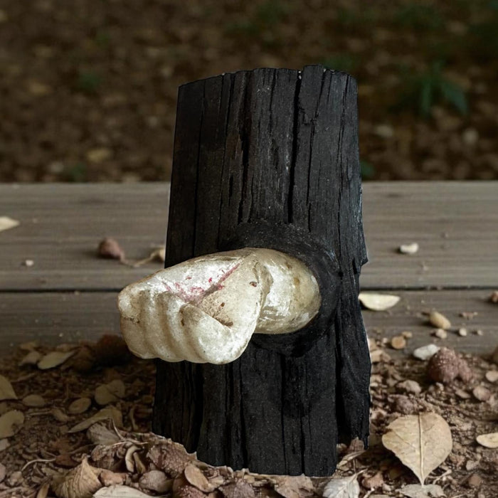 Marble Hand Sculpture on Raw Wood Panel : Pashan 12