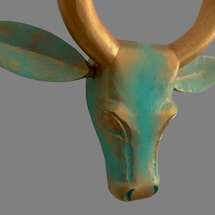 Cow head : Gauri 5