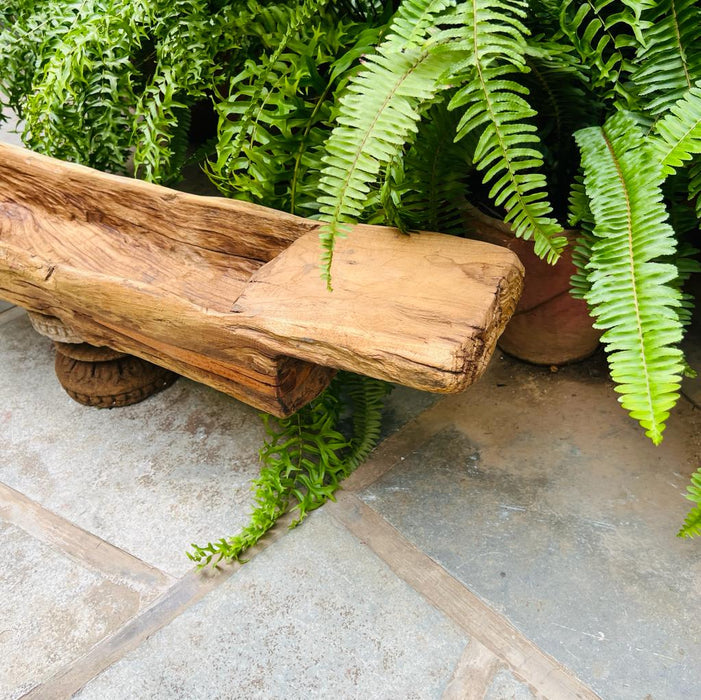 Burhan 6 : Raw wood planter