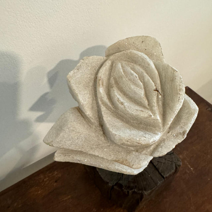 Stone Flower/Blossom : Gul 7