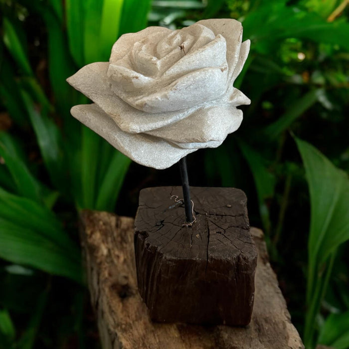 Stone Flower/Blossom : Gul 7