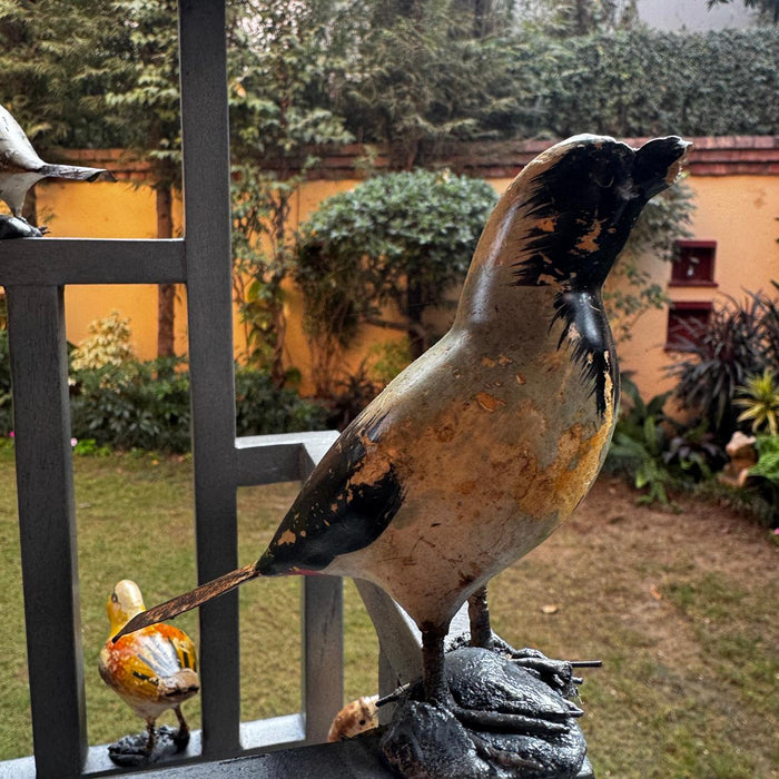 Open Bird Cage Décor – Charming & Unusual Accent Piece