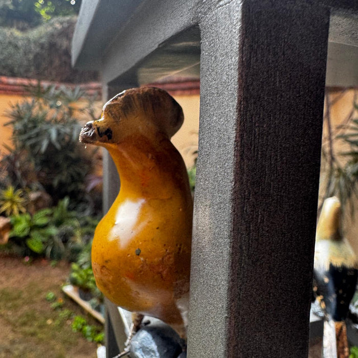 Open Bird Cage Décor – Charming & Unusual Accent Piece