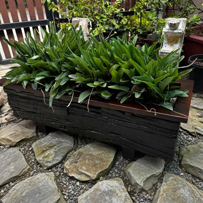 Raw Wood Planter:  Kashish 6