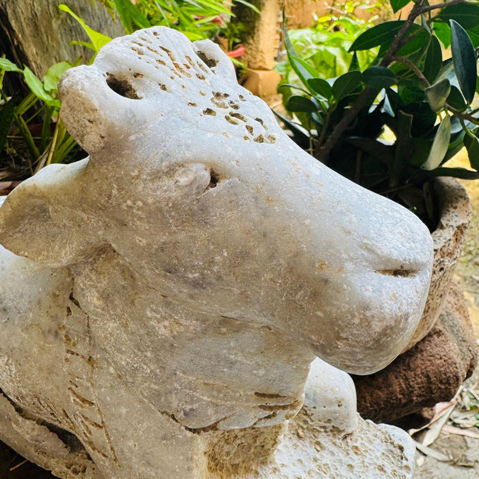 Stone Nandi- 1