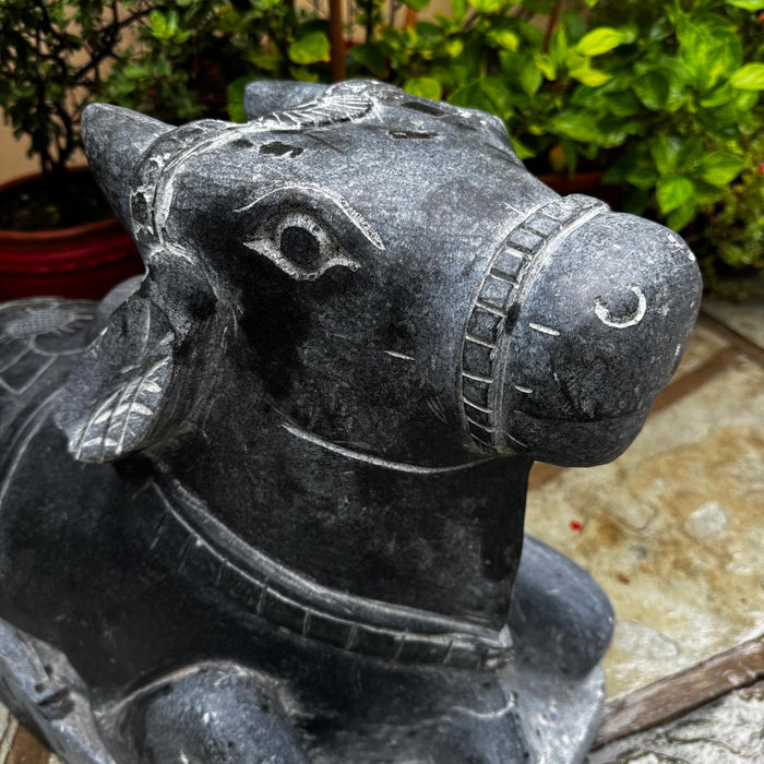 Black Granite Nandi – Symbol of Strength & Serenity : Murat 15
