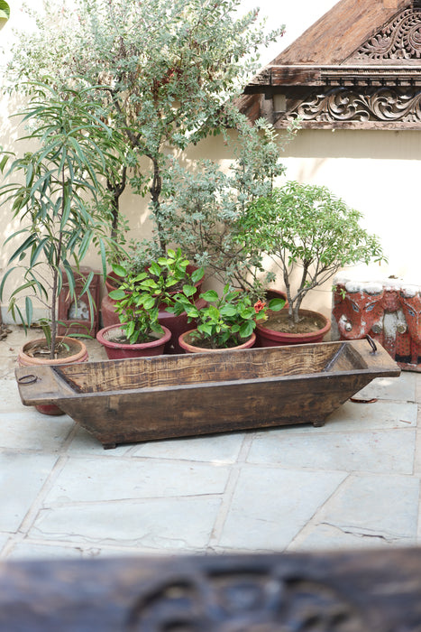 Kashish  13 : Long Wooden Planter  ( 4 feet +, without stand )