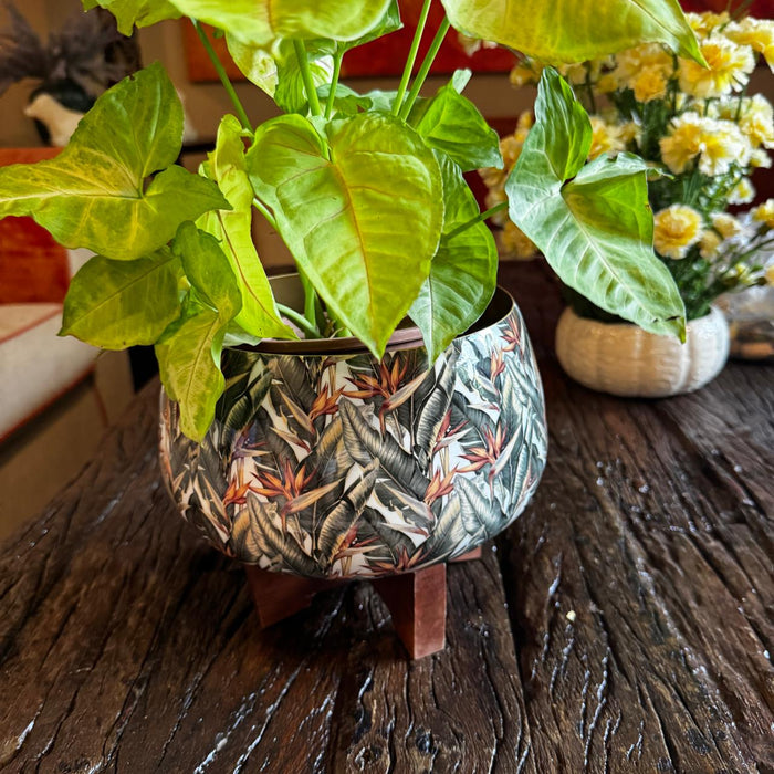 Small Metal Planter with Wooden Stand-3