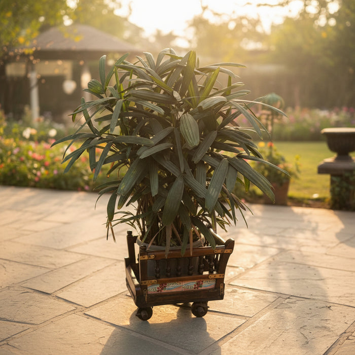Teak Wood Planter : Aarav 6