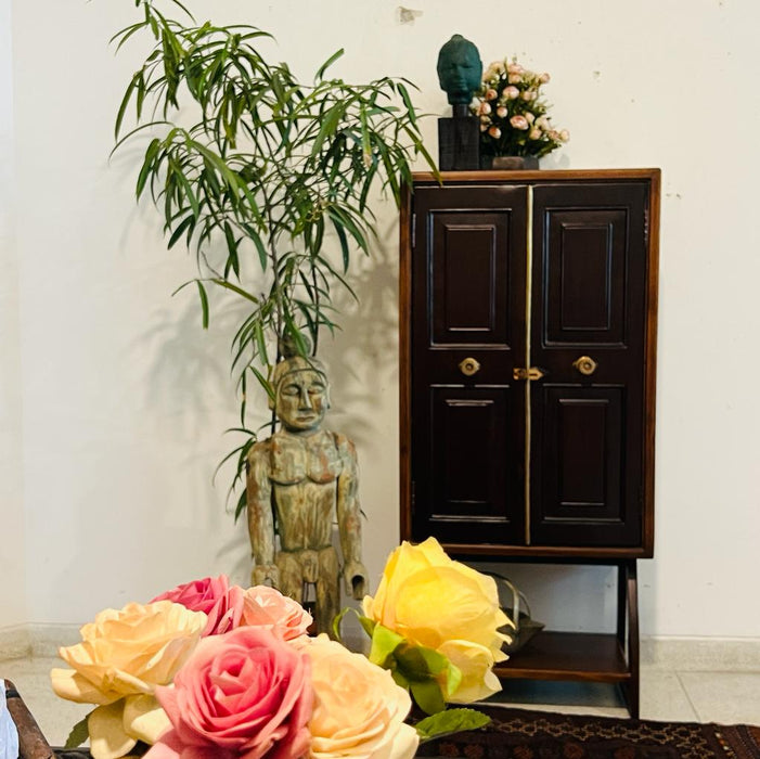 Yaseen : Vintage Slender  wooden cabinet with Brass Handles