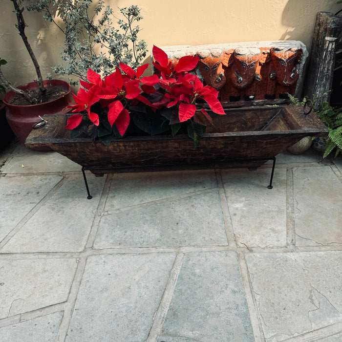 Kashish  14 : Long Wooden Planter  ( 4 feet +) with metal stand