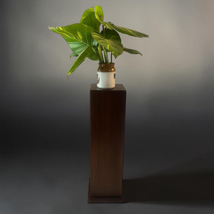 Gallery Pedestal : Ruhana 33