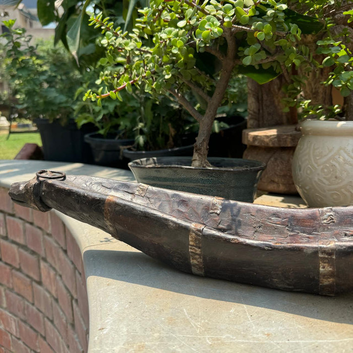 Kashish 3 : Boat shaped planter