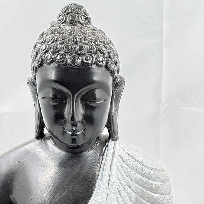 Gautam Buddha ; Tathagata 2