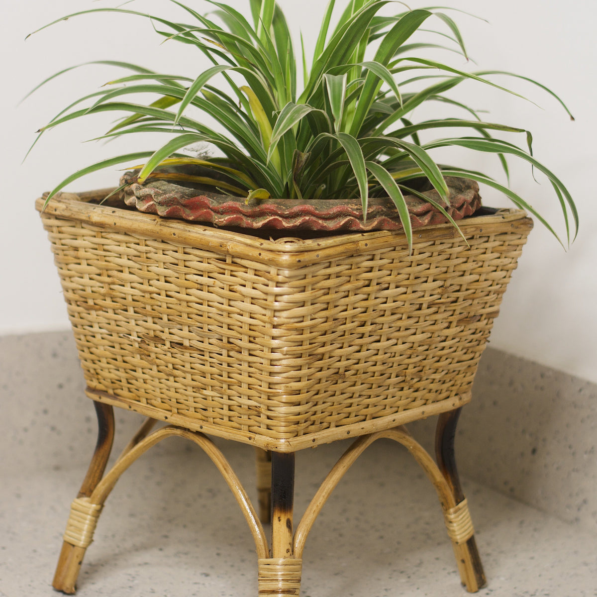 cane pots for plants Cane Planter 1 — Khojcrafts