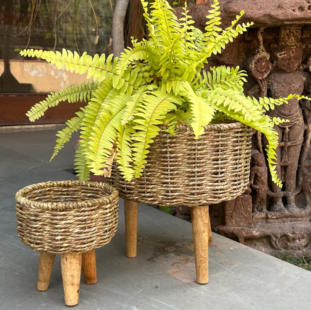 Buy Pots for Plants & Planters Online at Best Prices — Khojcrafts