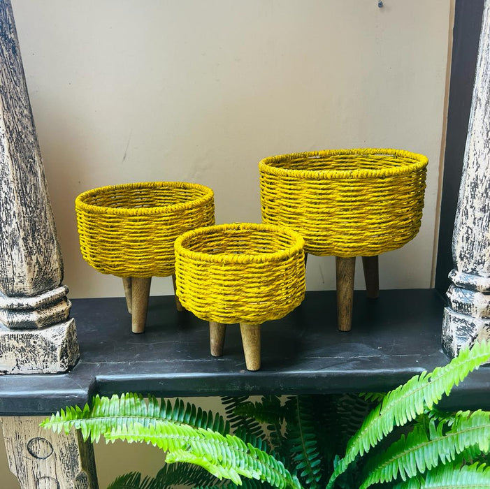 Afsar: Yellow finish Sea Grass planters  ( Set of 3 Planters)