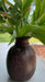 Leather covered vases/planters (Each) - Khojcrafts